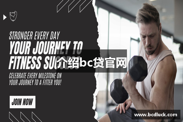介绍bc贷官网